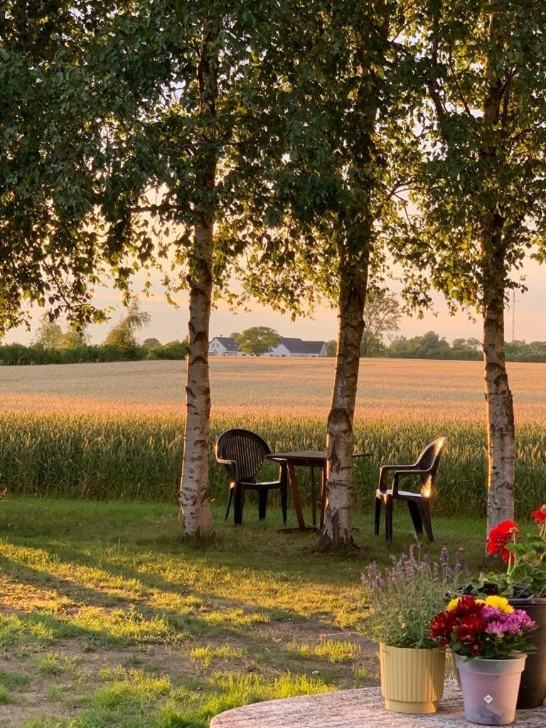 Romantic Luxus Glamping 1 Idestrup Luaran gambar